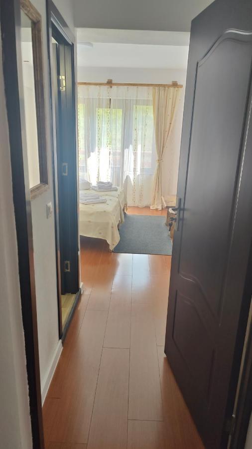 Pensiunea Trei Brazi Arieşeni Exterior foto