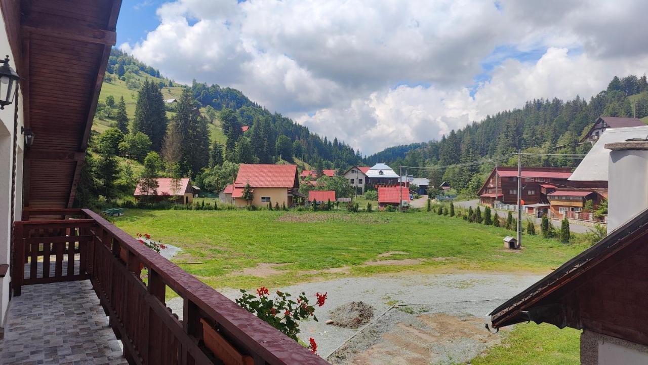Pensiunea Trei Brazi Arieşeni Exterior foto