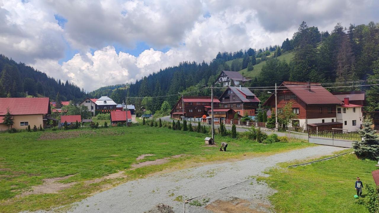 Pensiunea Trei Brazi Arieşeni Exterior foto
